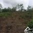  Land for sale in Bolivar, Turbaco, Bolivar