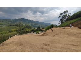 Grundstück zu verkaufen in Santa Rosa De Cabal, Risaralda, Santa Rosa De Cabal, Risaralda