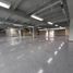 596 SqM Office for rent in Medellin, Antioquia, Medellin