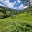  Terrain for sale in San Jeronimo, Antioquia, San Jeronimo