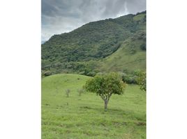  Terrain for sale in San Jeronimo, Antioquia, San Jeronimo