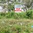  Land for sale in San Zenon, Magdalena, San Zenon