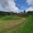 Terrain à vendre à Guarne, Antioquia, Guarne, Antioquia