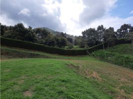 Terrain à vendre à Guarne, Antioquia, Guarne, Antioquia