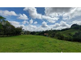 Terrain à vendre à Rionegro, Antioquia, Rionegro