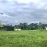  Land for sale in Pereira, Risaralda, Pereira