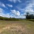  Land for sale in Guarne, Antioquia, Guarne
