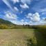  Land for sale in Guarne, Antioquia, Guarne