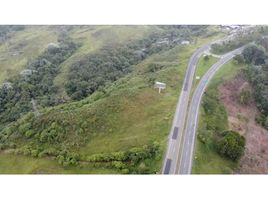  Land for sale in Salento, Quindio, Salento