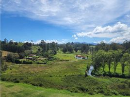 3 Schlafzimmer Haus zu verkaufen in Rionegro, Antioquia, Rionegro
