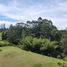 3 Schlafzimmer Haus zu verkaufen in Rionegro, Antioquia, Rionegro