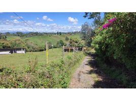 Studio Villa zu verkaufen in El Carmen De Viboral, Antioquia, El Carmen De Viboral