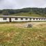 Studio Villa for sale in Gachala Cundinamarca, Gachala