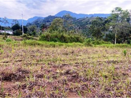  Terreno (Parcela) en venta en Jardin, Antioquia, Jardin