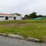  Land for sale in Palmira, Valle Del Cauca, Palmira