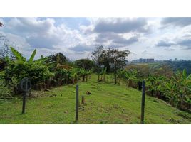  Terreno (Parcela) en venta en Quindio, Salento, Quindio