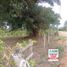  Land for sale in San Zenon, Magdalena, San Zenon