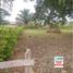  Land for sale in San Zenon, Magdalena, San Zenon