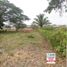  Land for sale in San Zenon, Magdalena, San Zenon