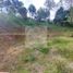  Land for sale in San Vicente, Antioquia, San Vicente