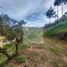  Land for sale in San Vicente, Antioquia, San Vicente