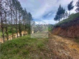  Land for sale in San Vicente, Antioquia, San Vicente
