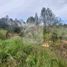  Land for sale in San Vicente, Antioquia, San Vicente