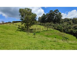 Terrain à vendre à Medellin, Antioquia, Medellin