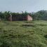 4 Bedroom House for sale in Curiti, Santander, Curiti