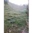 Terrain à vendre à Medellin, Antioquia, Medellin