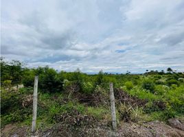  Terreno (Parcela) en venta en Quindio, Circasia, Quindio