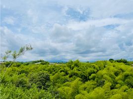  Terreno (Parcela) en venta en Quindio, Circasia, Quindio