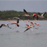  Terrain for sale in La Guajira, Riohacha, La Guajira