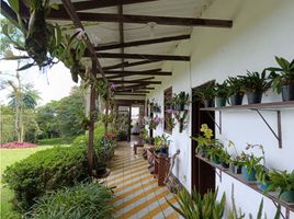 Estudio Villa en venta en Colombia, Pereira, Risaralda, Colombia