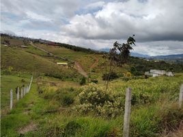  Terreno (Parcela) en venta en Dagua, Valle Del Cauca, Dagua