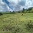 Terrain à vendre à Rionegro, Antioquia, Rionegro