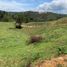 Terrain à vendre à Rionegro, Antioquia, Rionegro