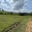 Terrain à vendre à Rionegro, Antioquia, Rionegro