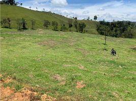 Terrain à vendre à Rionegro, Antioquia, Rionegro
