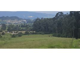  Terrain for sale in Cogua, Cundinamarca, Cogua