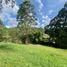  Land for sale in Envigado, Antioquia, Envigado