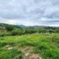  Land for sale in Cali, Valle Del Cauca, Cali