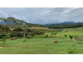  Land for sale in Cali, Valle Del Cauca, Cali