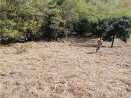  Terreno (Parcela) en venta en Valle Del Cauca, Yumbo, Valle Del Cauca