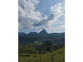  Terreno (Parcela) en venta en Andes, Antioquia, Andes