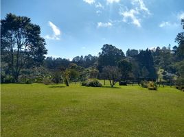  Land for sale in Rionegro, Antioquia, Rionegro