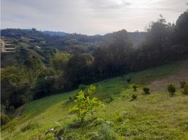 在Penol, Antioquia出售的 土地, Penol