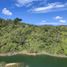  Land for sale in Guatape, Antioquia, Guatape