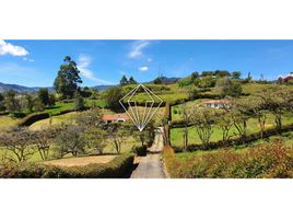  Terreno (Parcela) en venta en El Carmen De Viboral, Antioquia, El Carmen De Viboral