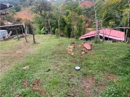  Land for sale in El Santuario, Antioquia, El Santuario